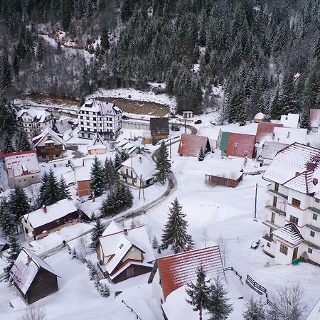 Apartment Petrovic Kopaonik Bagian luar foto